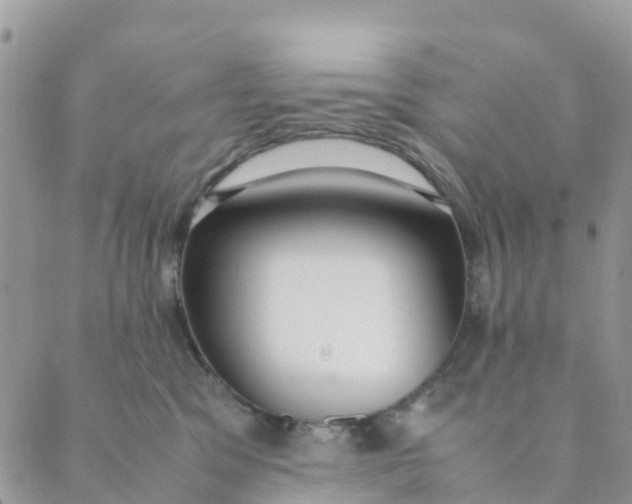 X0000089360329200707061055