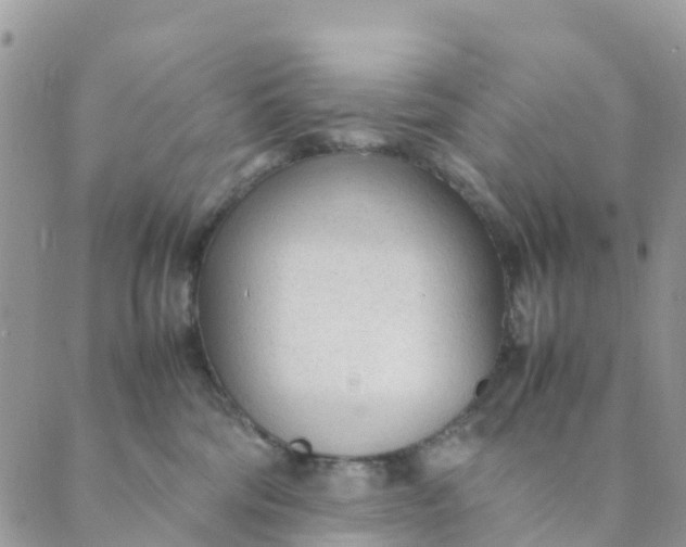 X0000089360330200707061055