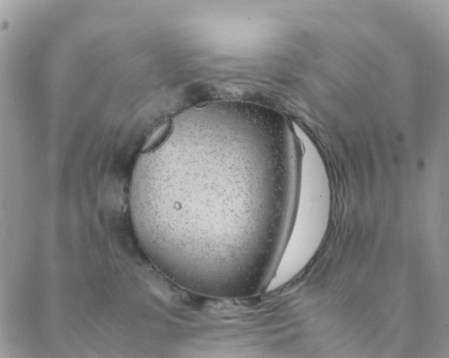 X0000089360331200707061055