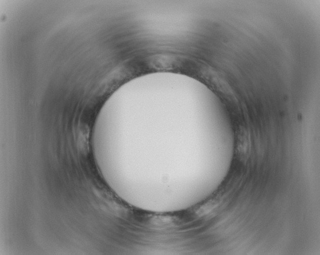 X0000089360332200707061055