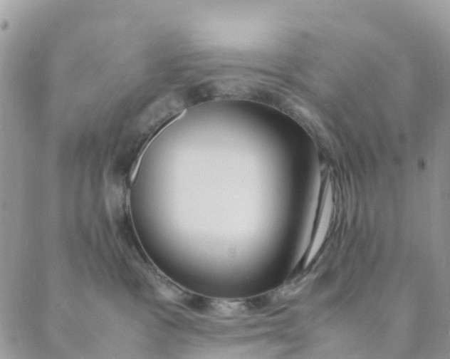 X0000089360333200707061055