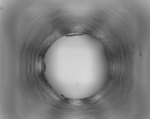 X0000089360334200707061055