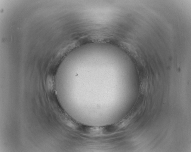 X0000089360335200707061055