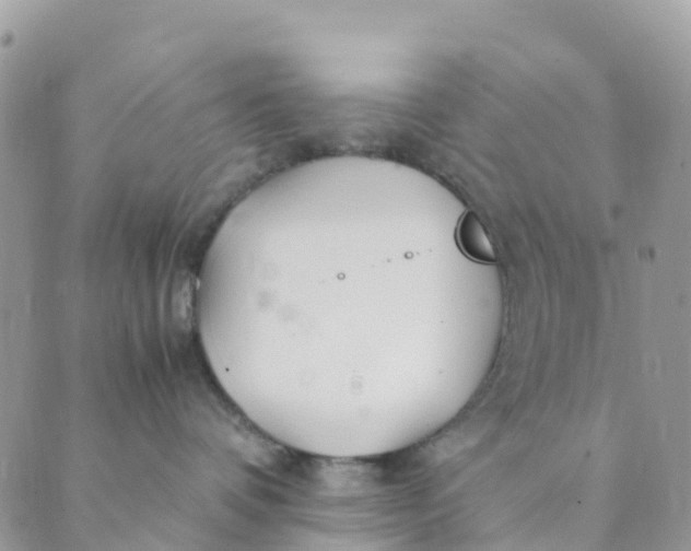 X0000089360336200707061055