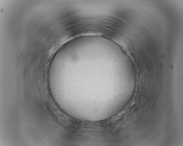 X0000089360337200707061055