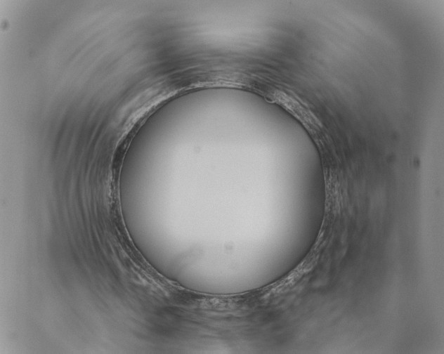 X0000089360338200707061055