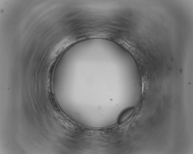 X0000089360339200707061055