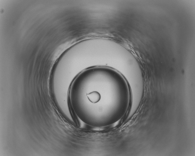 X0000089360340200707061055