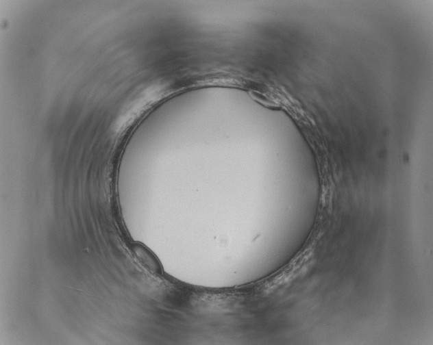 X0000089360341200707061055