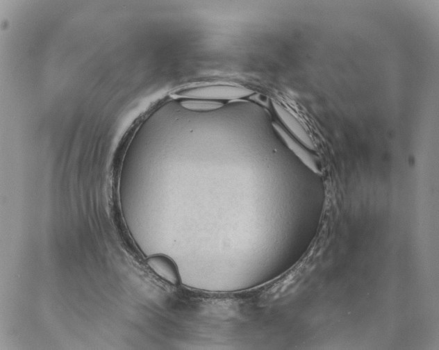 X0000089360342200707061055