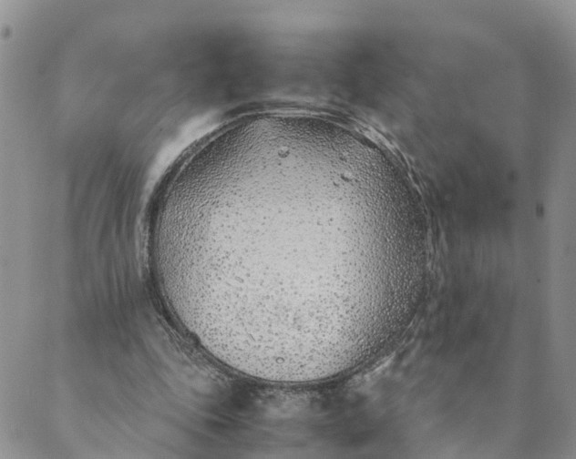 X0000089360343200707061055