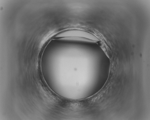 X0000089360344200707061055