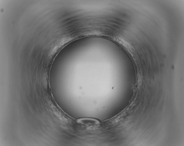 X0000089360345200707061055