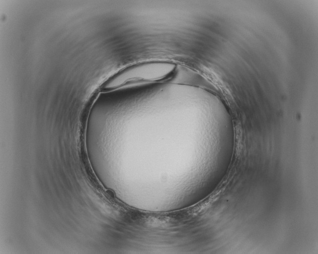 X0000089360346200707061055