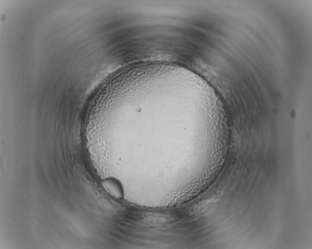 X0000089360347200707061055