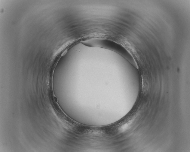 X0000089360348200707061055