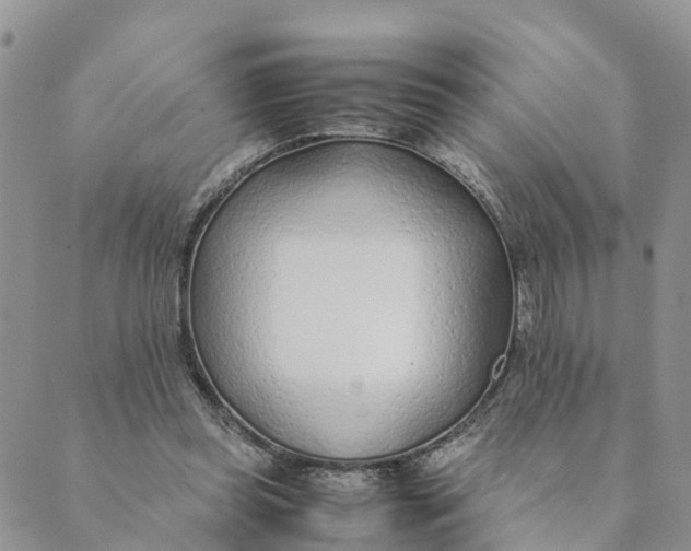 X0000089360349200707061055