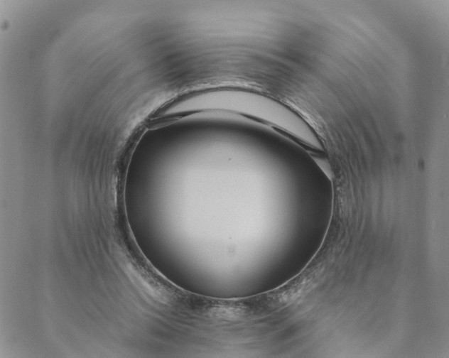 X0000089360350200707061055