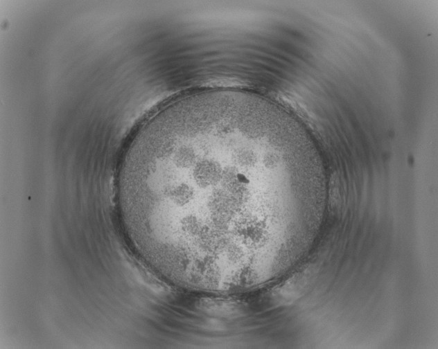 X0000089360351200707061055