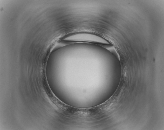 X0000089360352200707061055