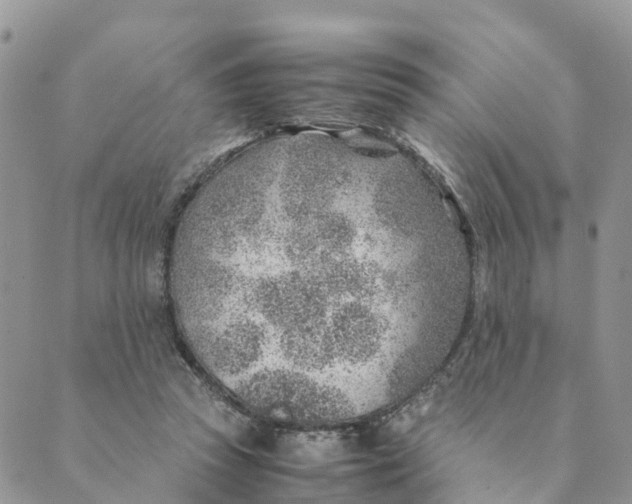 X0000089360353200707061055