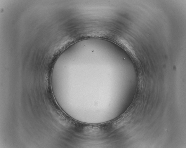 X0000089360354200707061055