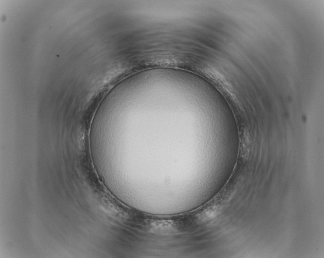 X0000089360355200707061055