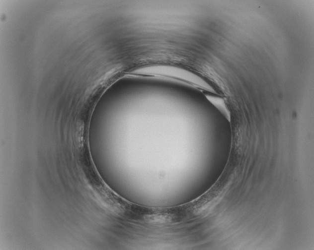 X0000089360356200707061055