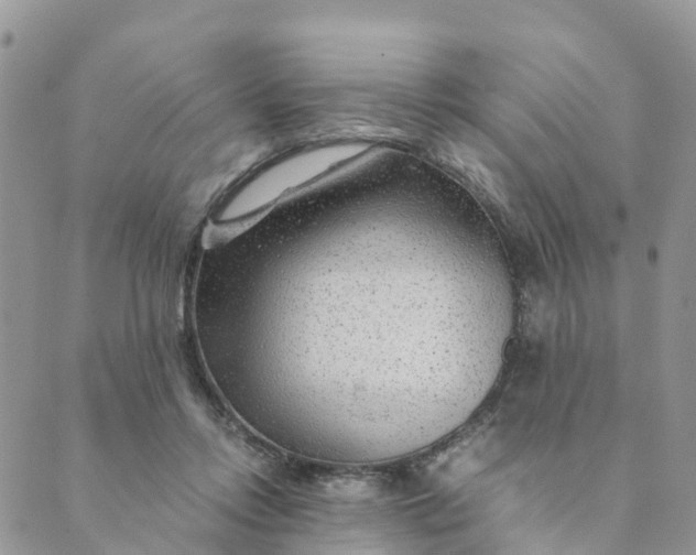 X0000089360358200707061055