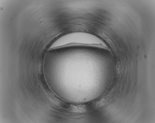 X0000089360359200707061055