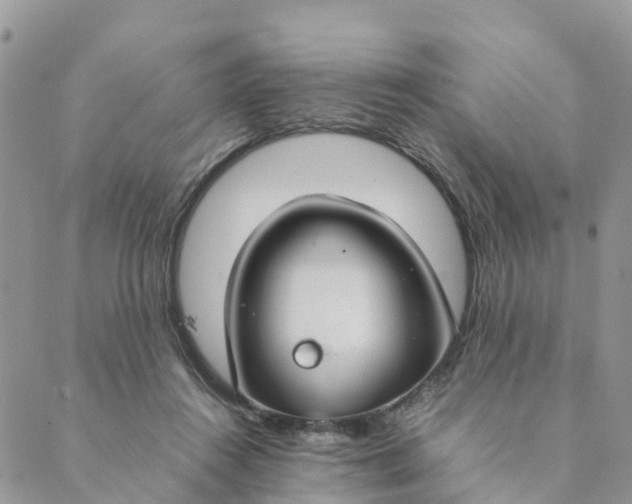 X0000089360360200707061055