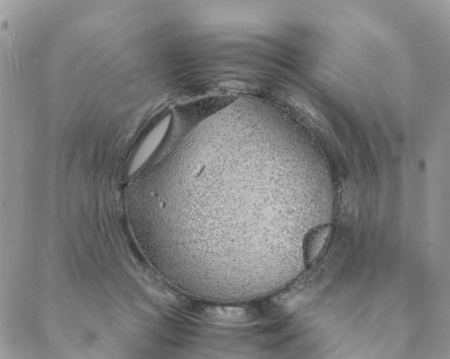 X0000089360361200707061055