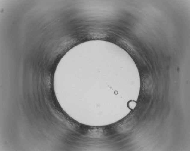 X0000089360362200707061055