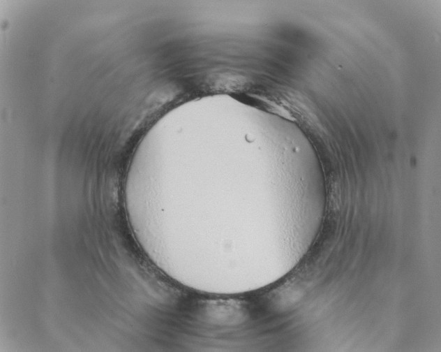 X0000089360363200707061055