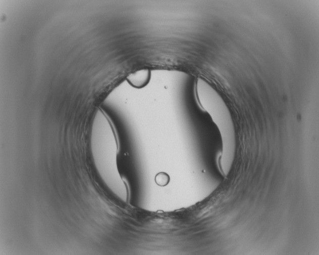 X0000089360364200707061055