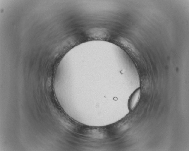 X0000089360365200707061055