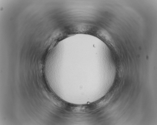 X0000089360366200707061055