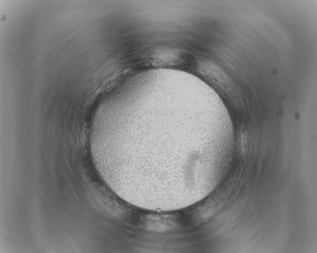 X0000089360367200707061055