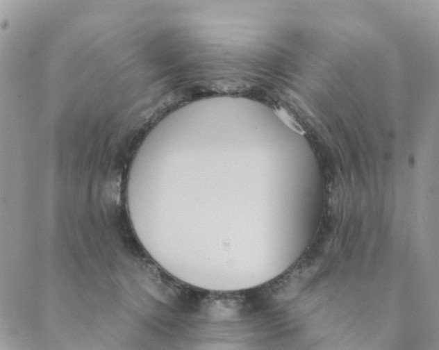 X0000089360368200707061055