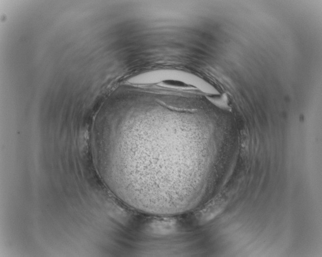 X0000089360369200707061055