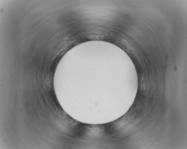 X0000089360370200707061055