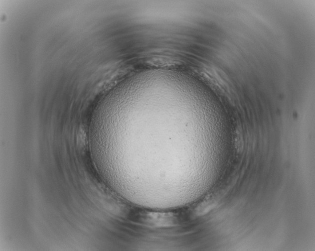 X0000089360371200707061055