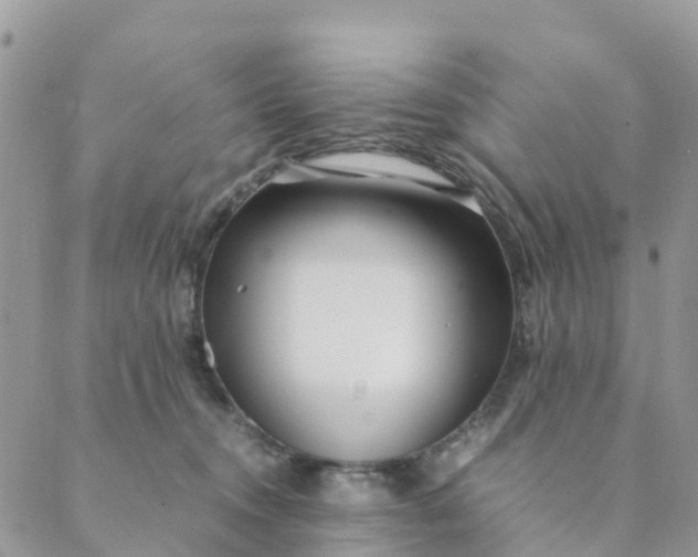 X0000089360372200707061055