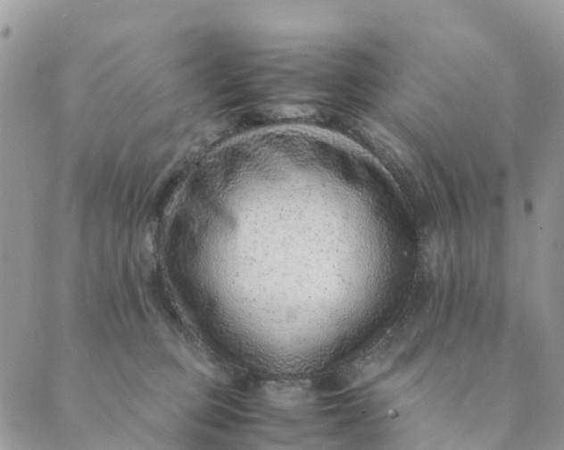 X0000089360373200707061055