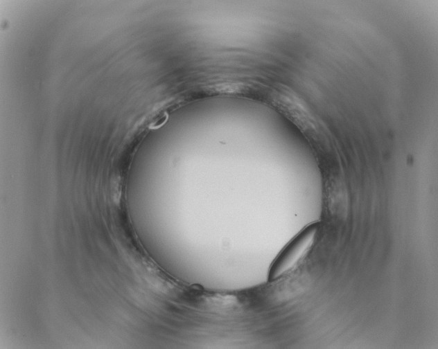 X0000089360374200707061055