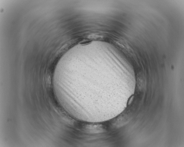 X0000089360375200707061055