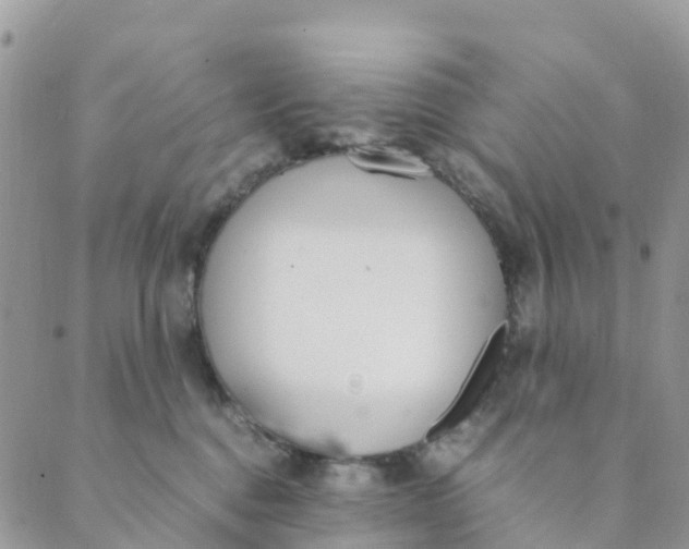 X0000089360376200707061055