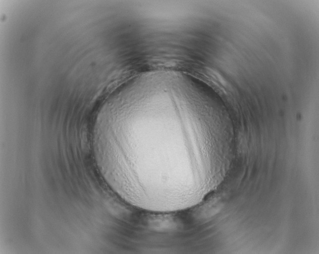 X0000089360377200707061055