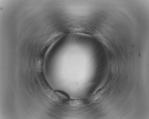 X0000089360378200707061055