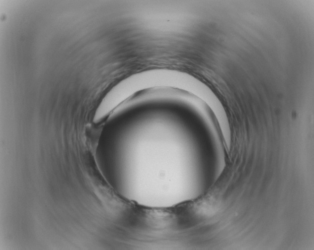 X0000089360380200707061055